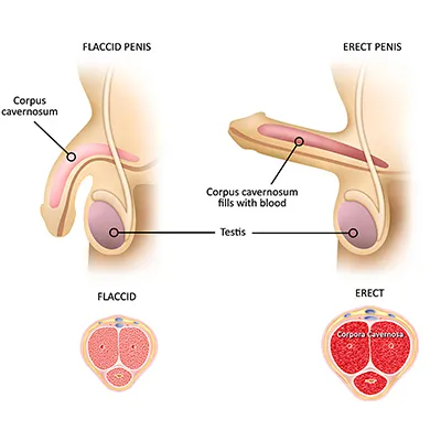 ED Treatment in Jaipur
